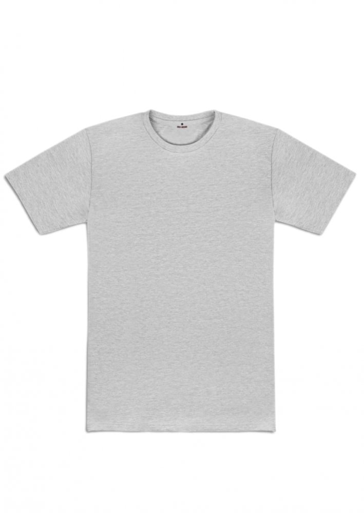 BSAIC T-SHIRT LIGHT GREY